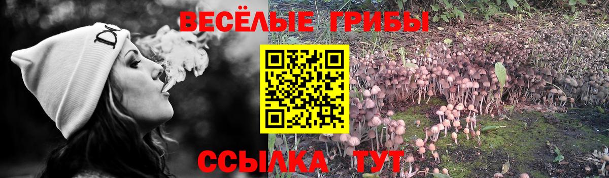 Псилоцибиновые грибы мухоморы Хасавюрт