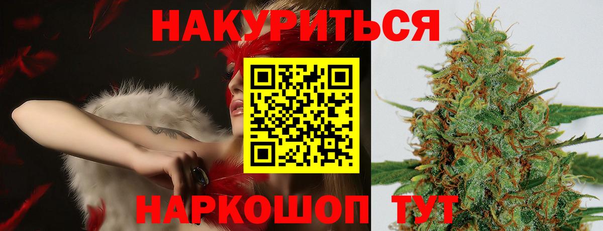 Канабис планчик  Бошки Шишки Ganja  Марихуана White Widow  Вход с VPN  Хасавюрт  Шишки марихуана ГИДРОПОН 